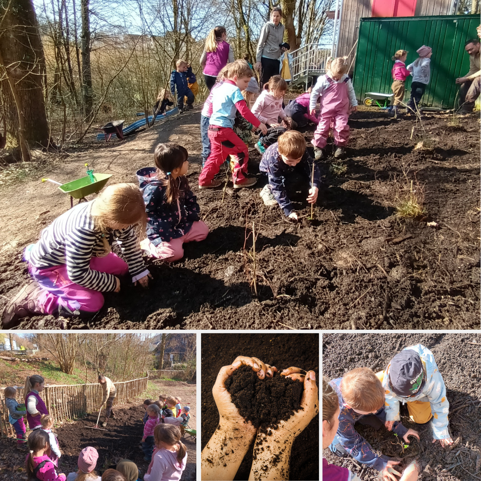 Waldkindergarten_Pflanzaktion_Collage (c) Caritas RheinBerg